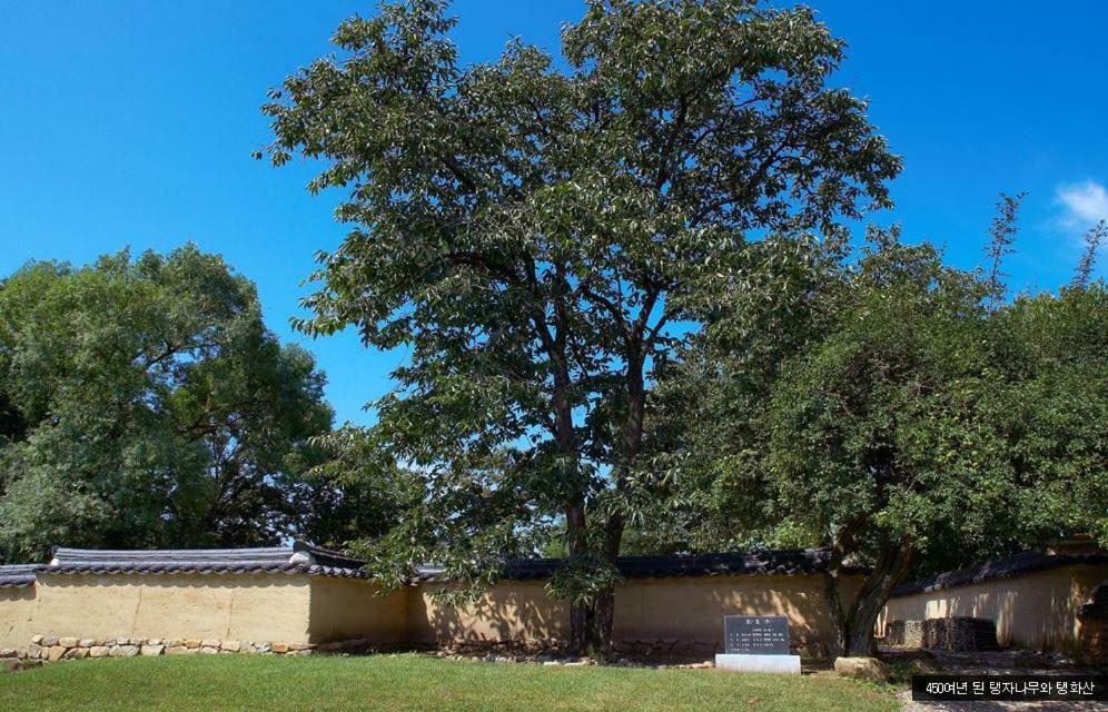 Bukchondaek Bed & Breakfast Andong Luaran gambar